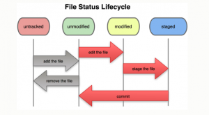 Lifecycle of status