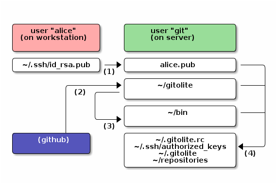 Gitolite graphical overview