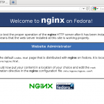 nginx-xx