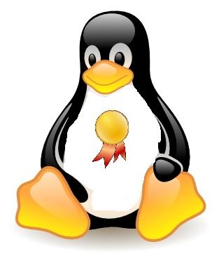 Linux share in supercomputers
