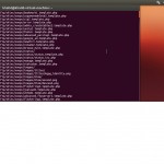 screenie-ubuntu-ehcp2