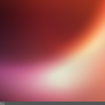 cinnamon-ubuntu13.04