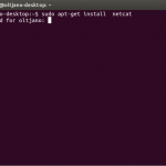 netcat1