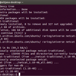 netcat2