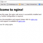 nginx-