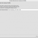 Create New Server Instance Profile_006