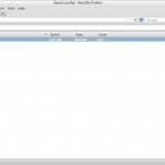 about:config – Mozilla Firefox_011