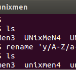 rename-lowercase-unixmen