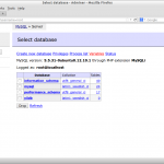 Select database – Adminer – Mozilla Firefox_008