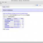 Select database – Adminer – Mozilla Firefox_010