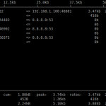 root@server:~_004