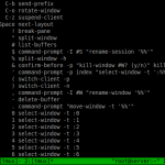 root@server:~_009