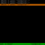 root@server:~_010
