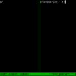 root@server:~_011