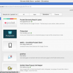 Chrome Web Store – pocket – Chromium_020