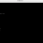 root@server:~_007