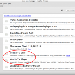 Add-ons Manager – Mozilla Firefox_001
