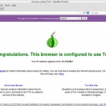 Are you using Tor? – Mozilla Firefox_014