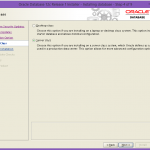 oracle13