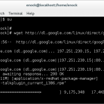 Google_talk_plugin_Fedora