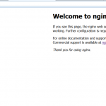 2014-04-29 08_03_52-Welcome to nginx!