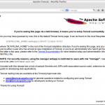 Apache Tomcat – Mozilla Firefox_003