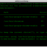 change_default_browser_from_terminal_debian_enock