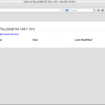 Index of ftp:–sk@192.168.1.101- – Mozilla Firefox_010