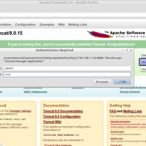 apache tomcat 8. apache tomcat 8.