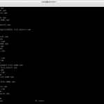 root@server:~_012