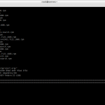root@server:~_013