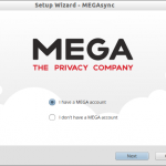 Setup Wizard – MEGAsync_001