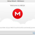 Setup Wizard – MEGAsync_005