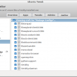 Ubuntu Tweak_003