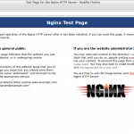 Test Page for the Nginx HTTP Server – Mozilla Firefox_010