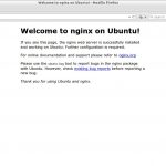 Welcome to nginx on Ubuntu! – Mozilla Firefox_001