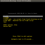 BootingLinuxconole