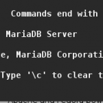 Entering into MariaDB environment