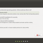 Installation Partitioning