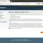 Magento Installation Wizard – Mozilla Firefox_008