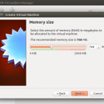 Memory for VM