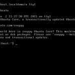 Snappy [Running] – Oracle VM VirtualBox_015