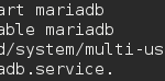 Starting MariaDB