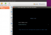Starting the VM