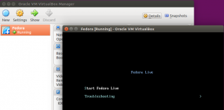 Starting the VM