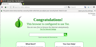 Tor Launched