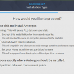 antergos disk partition