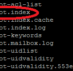 dovecot index