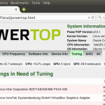 powertop in browser