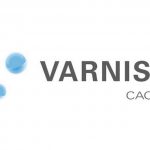 varnish